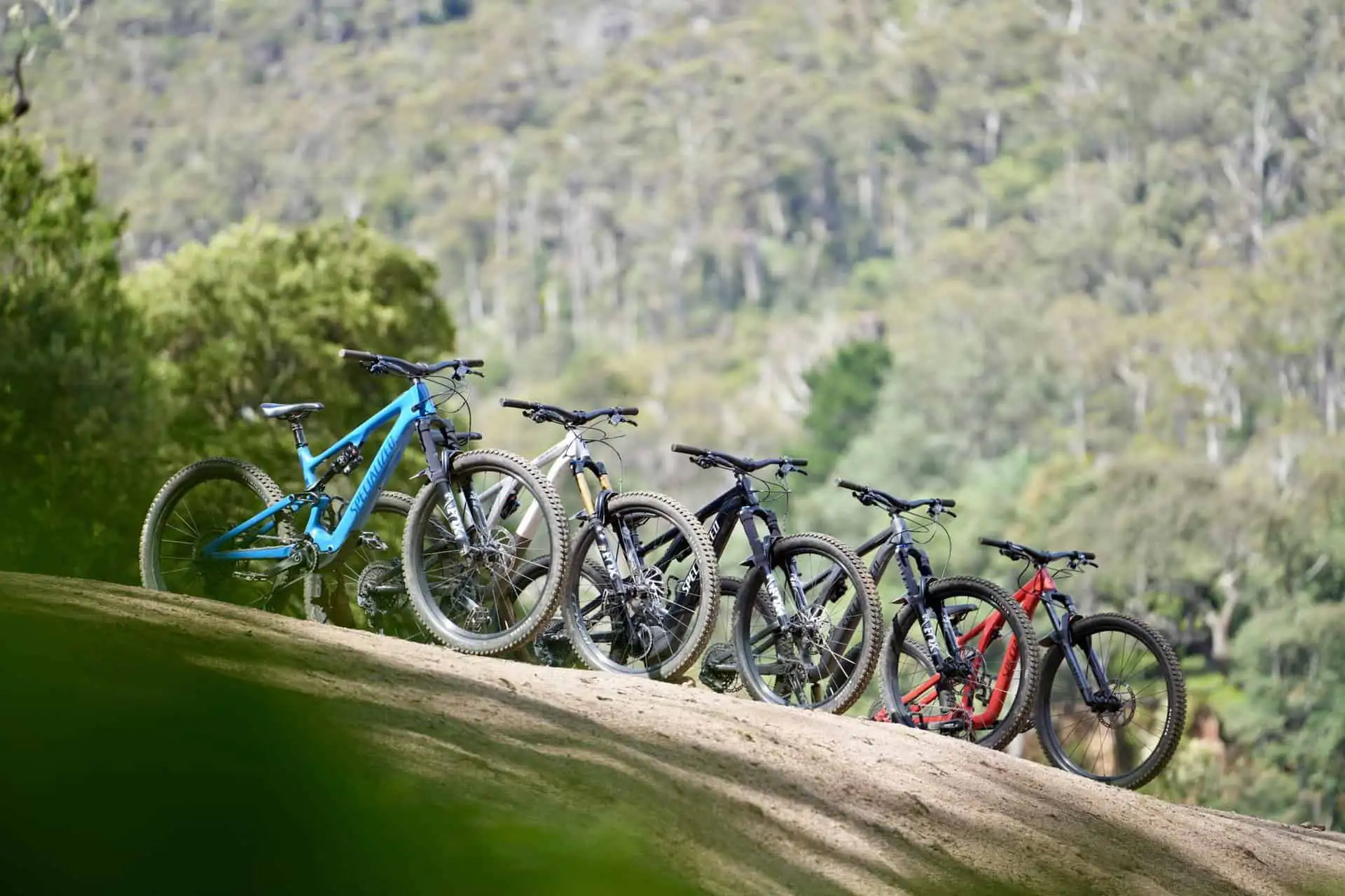 Vertigo's Blue Tier Bike Hire